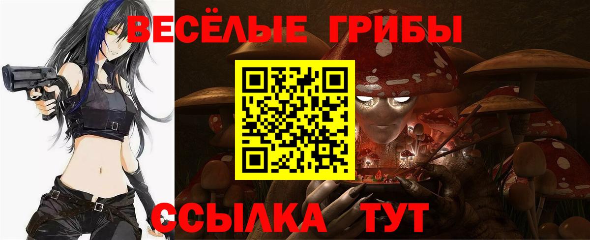 Похвистнево  Псилоцибиновые грибы Cubensis  Вход с VPN  Псилоцибиновые грибы ЛСД 